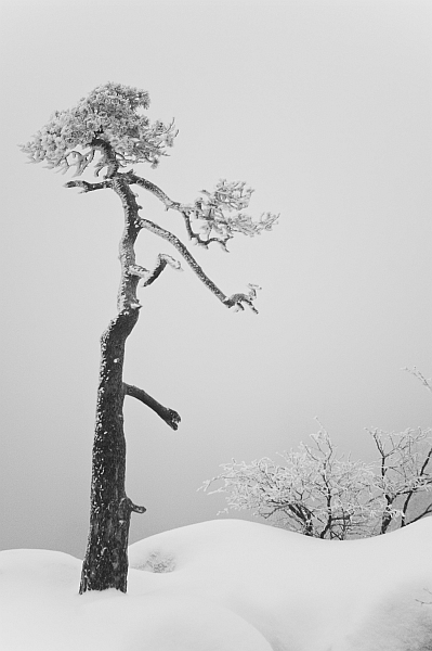 Kliknij na zdjęcie, żeby zobaczyć w pełnych wymiarach