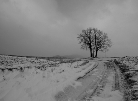 Kliknij na zdjęcie, żeby zobaczyć w pełnych wymiarach