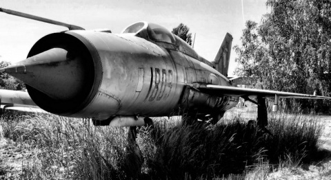 Kliknij na zdjęcie, żeby zobaczyć w pełnych wymiarach