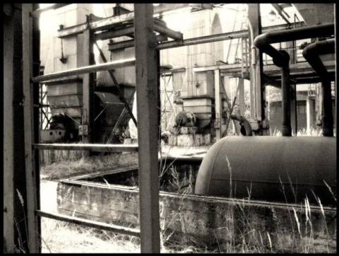 Kliknij na zdjęcie, żeby zobaczyć w pełnych wymiarach