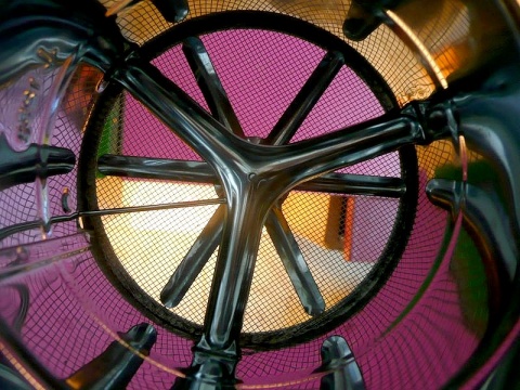 Kliknij na zdjęcie, żeby zobaczyć w pełnych wymiarach