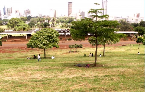 Kliknij na zdjęcie, żeby zobaczyć w pełnych wymiarach