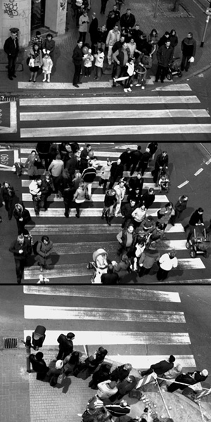 Kliknij na zdjęcie, żeby zobaczyć w pełnych wymiarach