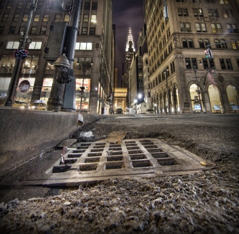 Kliknij na zdjęcie, żeby zobaczyć w pełnych wymiarach