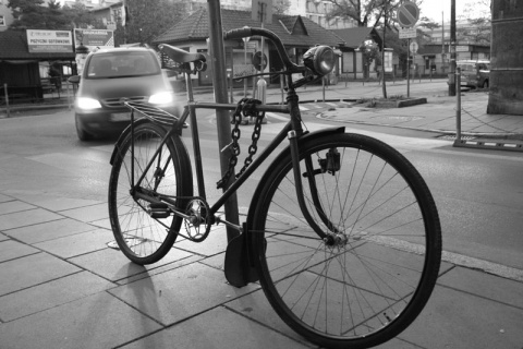 Kliknij na zdjęcie, żeby zobaczyć w pełnych wymiarach