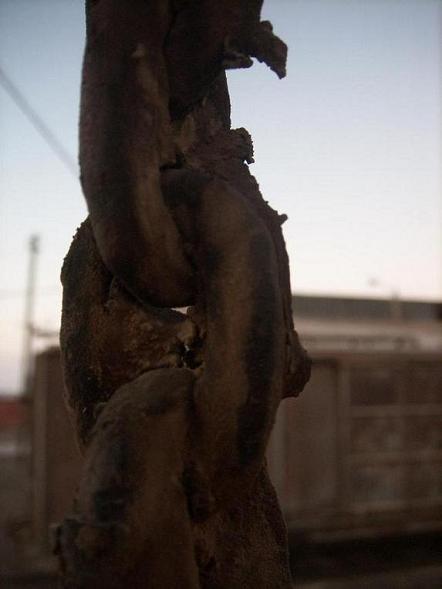 Kliknij na zdjęcie, żeby zobaczyć w pełnych wymiarach