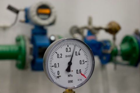 Kliknij na zdjęcie, żeby zobaczyć w pełnych wymiarach