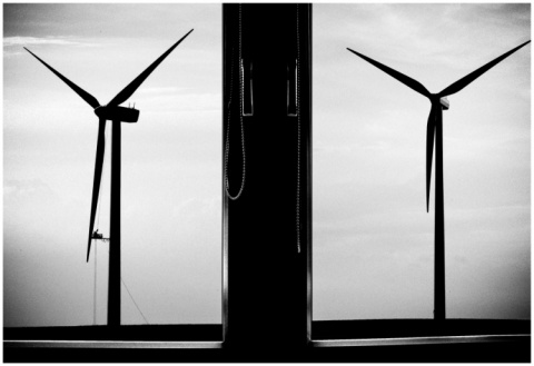 Kliknij na zdjęcie, żeby zobaczyć w pełnych wymiarach