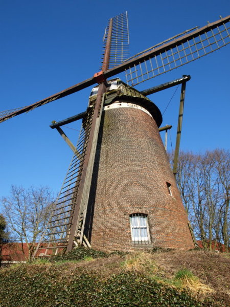 Kliknij na zdjęcie, żeby zobaczyć w pełnych wymiarach