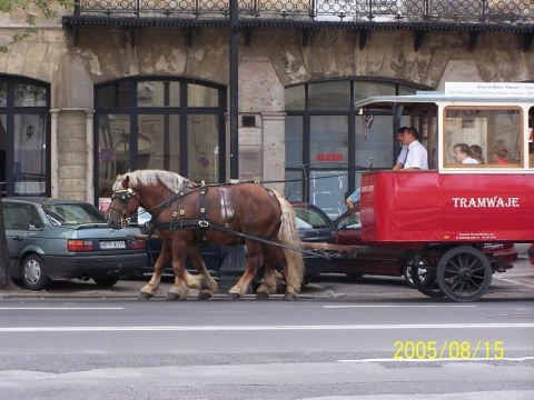 Kliknij na zdjęcie, żeby zobaczyć w pełnych wymiarach