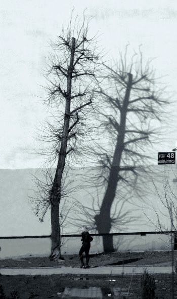 Kliknij na zdjęcie, żeby zobaczyć w pełnych wymiarach