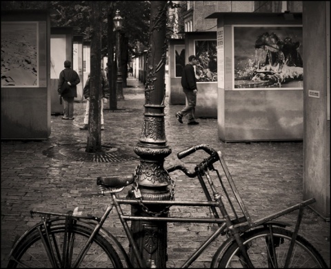 Kliknij na zdjęcie, żeby zobaczyć w pełnych wymiarach