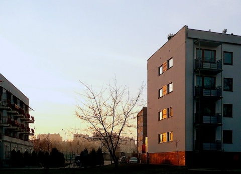 Kliknij na zdjęcie, żeby zobaczyć w pełnych wymiarach