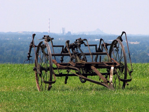Kliknij na zdjęcie, żeby zobaczyć w pełnych wymiarach