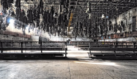 Kliknij na zdjęcie, żeby zobaczyć w pełnych wymiarach