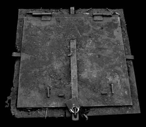 Kliknij na zdjęcie, żeby zobaczyć w pełnych wymiarach