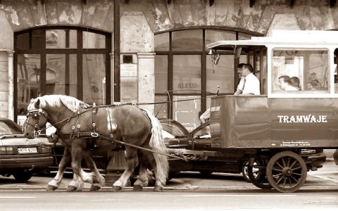 Kliknij na zdjęcie, żeby zobaczyć w pełnych wymiarach
