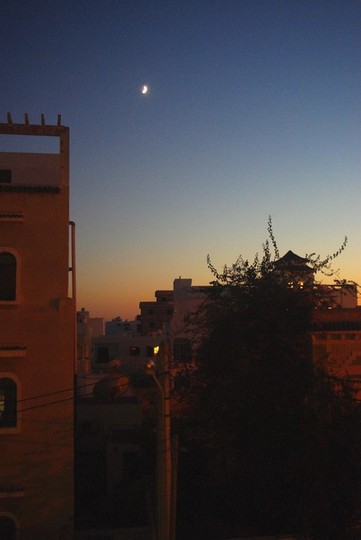 Kliknij na zdjęcie, żeby zobaczyć w pełnych wymiarach