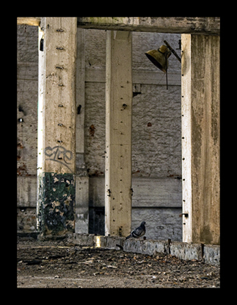 Kliknij na zdjęcie, żeby zobaczyć w pełnych wymiarach