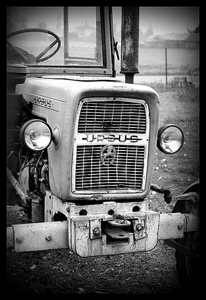 Kliknij na zdjęcie, żeby zobaczyć w pełnych wymiarach