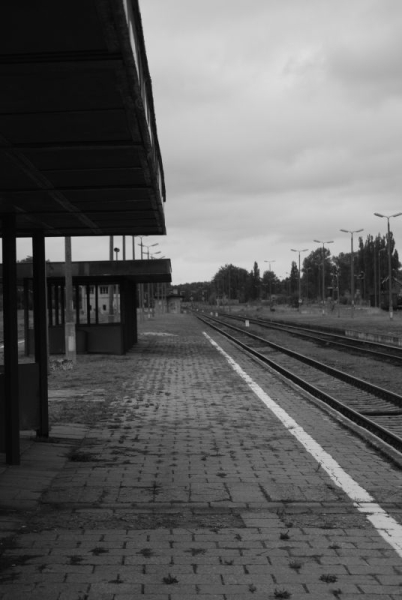 Kliknij na zdjęcie, żeby zobaczyć w pełnych wymiarach