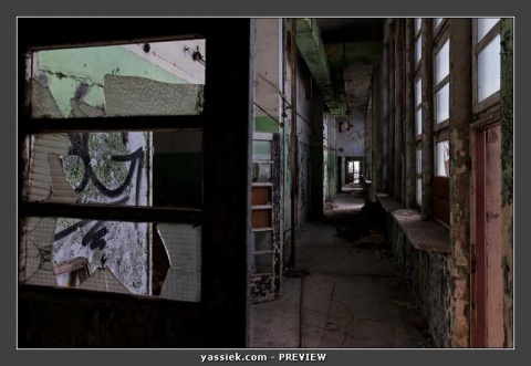 Kliknij na zdjęcie, żeby zobaczyć w pełnych wymiarach