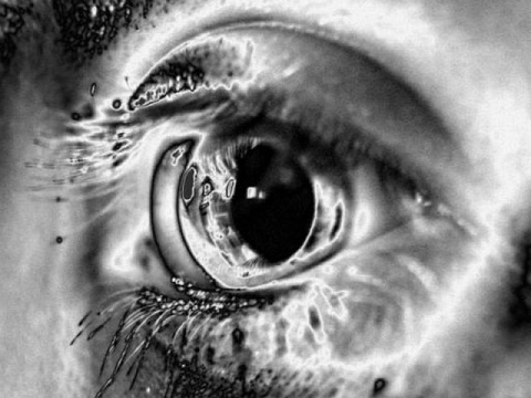 Kliknij na zdjęcie, żeby zobaczyć w pełnych wymiarach