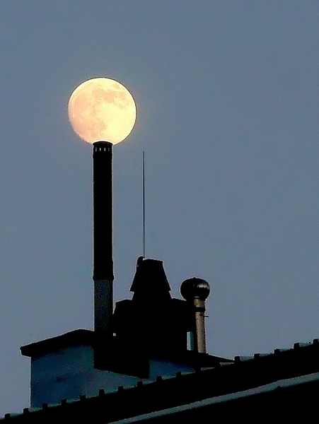 Kliknij na zdjęcie, żeby zobaczyć w pełnych wymiarach