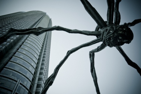 Kliknij na zdjęcie, żeby zobaczyć w pełnych wymiarach