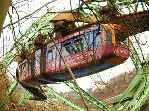 Kliknij na zdjęcie, żeby zobaczyć w pełnych wymiarach