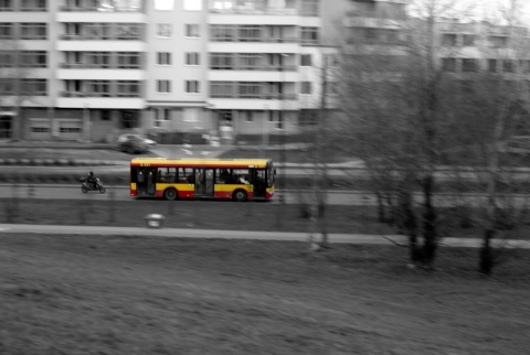 Kliknij na zdjęcie, żeby zobaczyć w pełnych wymiarach