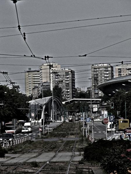 Kliknij na zdjęcie, żeby zobaczyć w pełnych wymiarach