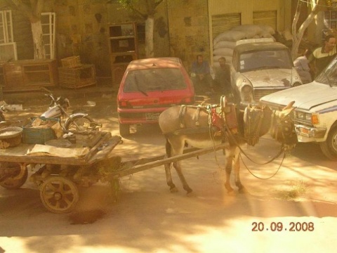 Kliknij na zdjęcie, żeby zobaczyć w pełnych wymiarach