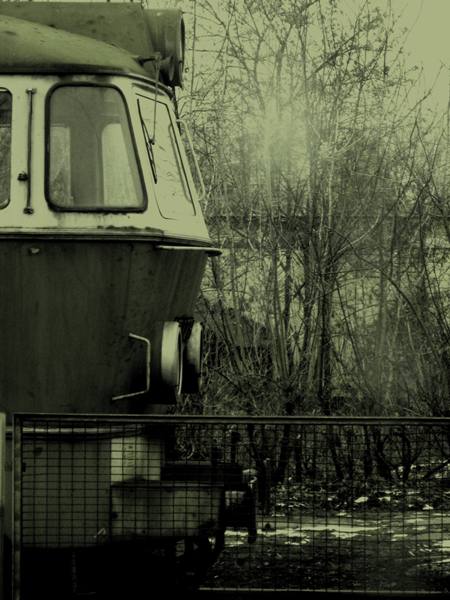 Kliknij na zdjęcie, żeby zobaczyć w pełnych wymiarach