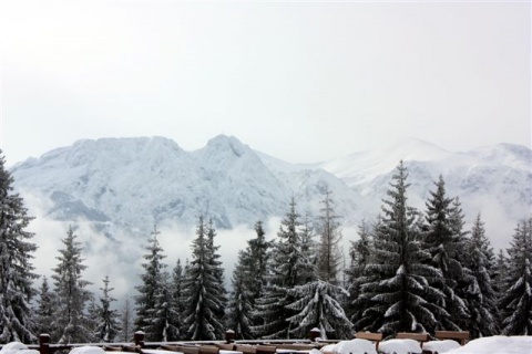 Kliknij na zdjęcie, żeby zobaczyć w pełnych wymiarach