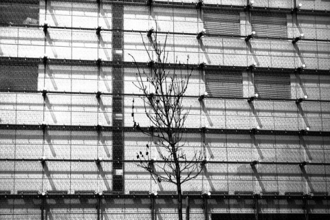 Kliknij na zdjęcie, żeby zobaczyć w pełnych wymiarach