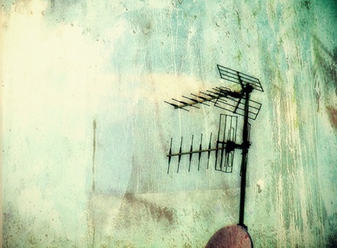 Kliknij na zdjęcie, żeby zobaczyć w pełnych wymiarach