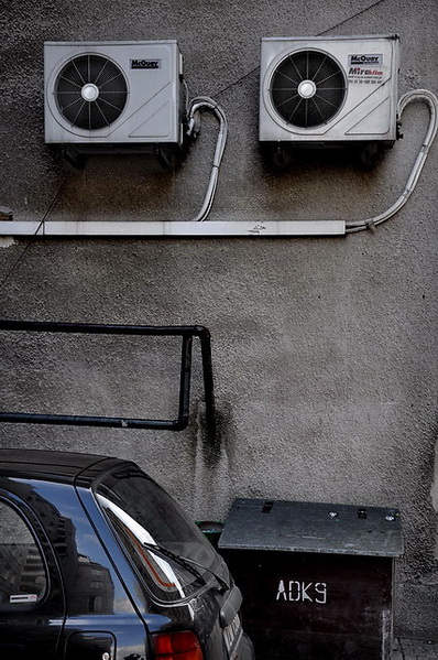 Kliknij na zdjęcie, żeby zobaczyć w pełnych wymiarach