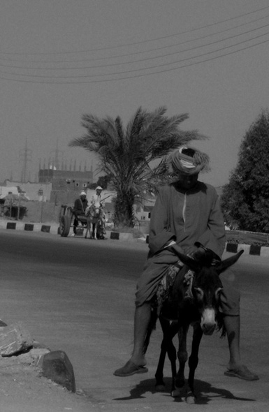 Kliknij na zdjęcie, żeby zobaczyć w pełnych wymiarach