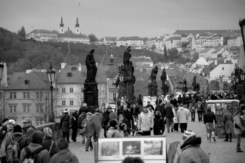 Kliknij na zdjęcie, żeby zobaczyć w pełnych wymiarach