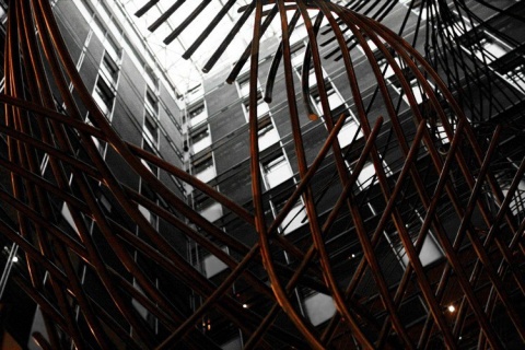 Kliknij na zdjęcie, żeby zobaczyć w pełnych wymiarach