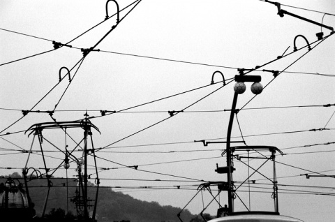 Kliknij na zdjęcie, żeby zobaczyć w pełnych wymiarach