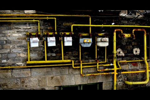 Kliknij na zdjęcie, żeby zobaczyć w pełnych wymiarach