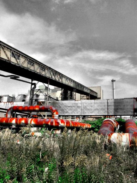 Kliknij na zdjęcie, żeby zobaczyć w pełnych wymiarach