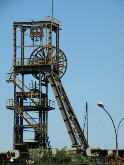 Kliknij na zdjęcie, żeby zobaczyć w pełnych wymiarach