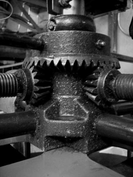 Kliknij na zdjęcie, żeby zobaczyć w pełnych wymiarach