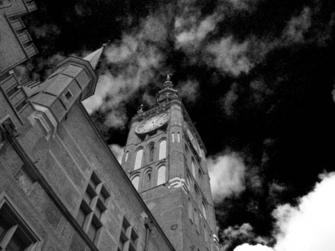 Kliknij na zdjęcie, żeby zobaczyć w pełnych wymiarach