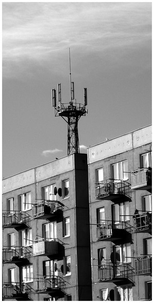 Kliknij na zdjęcie, żeby zobaczyć w pełnych wymiarach