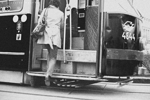 Kliknij na zdjęcie, żeby zobaczyć w pełnych wymiarach