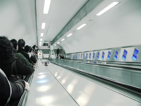 Kliknij na zdjęcie, żeby zobaczyć w pełnych wymiarach